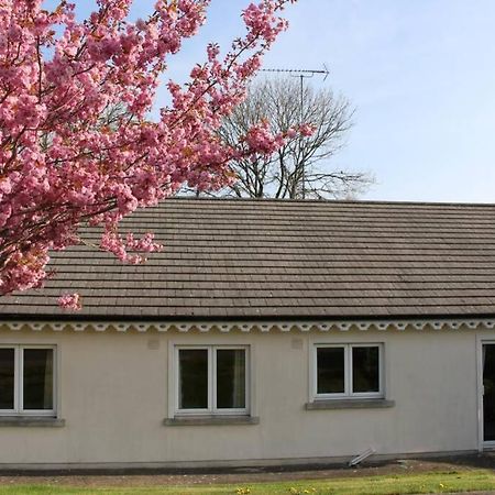 Sunny Bungalow Кортаун Екстер'єр фото