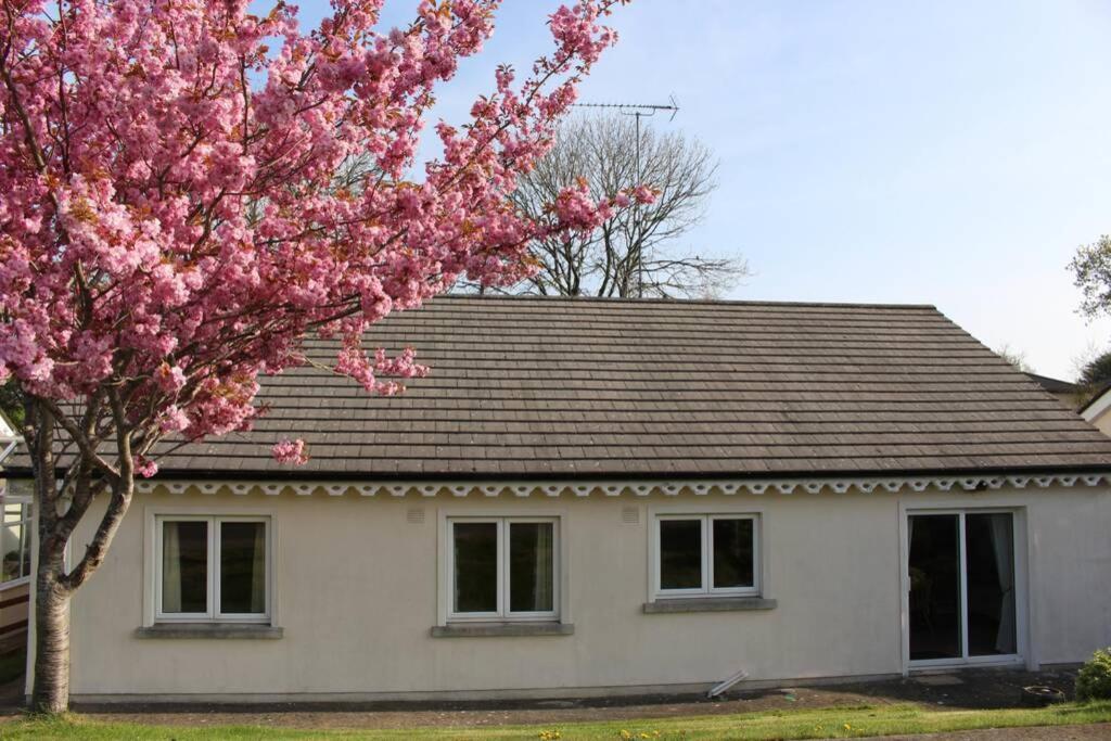 Sunny Bungalow Кортаун Екстер'єр фото